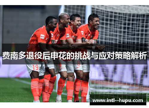 费南多退役后申花的挑战与应对策略解析