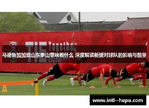 马德鲁加加盟山东泰山意味着什么 深度解读新援对球队的影响与前景