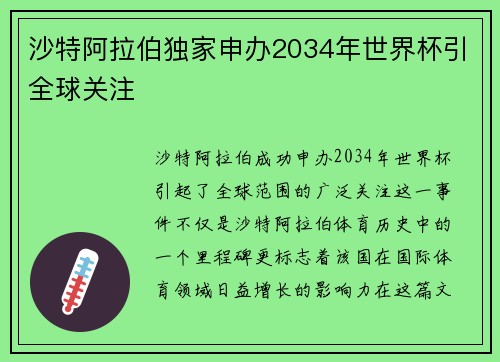 沙特阿拉伯独家申办2034年世界杯引全球关注